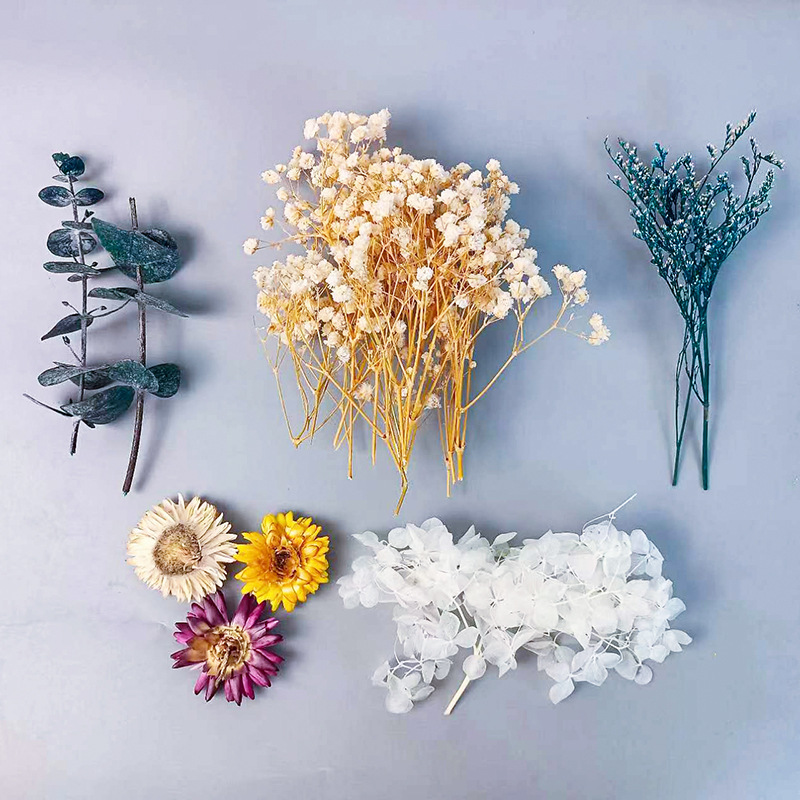 1pack Multifarious Dried Flowe - Embellish Craft avis et prix