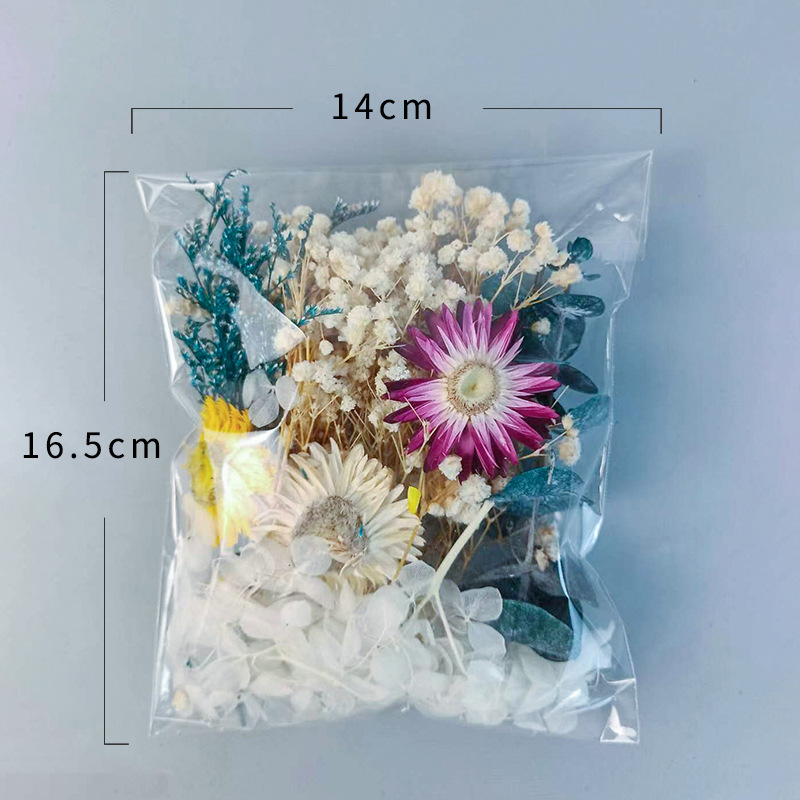 1pack Multifarious Dried Flowe - Embellish Craft avis et prix