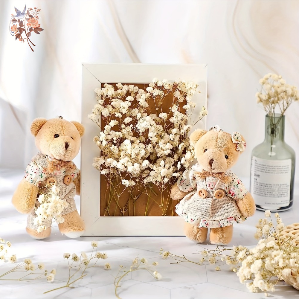 100pcs Mini Dried Baby's Breat - Craft Embellishments avis et prix